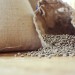 Burlap Sack