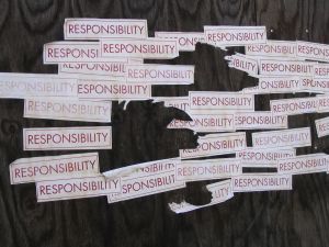 responsibility Photo:Nicole Shelby